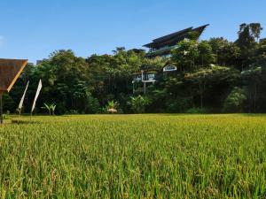 un campo de hierba con una casa en el fondo en Pullman Ciawi Vimala Hills Resort en Bogor