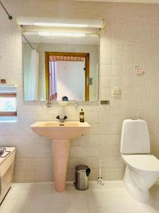 a bathroom with a sink and a toilet and a mirror at Large Architect designer home 800m from beach in Glumslöv
