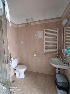 ein Bad mit einem WC und einem Waschbecken in der Unterkunft Pokoje Gościnne Zakopane in Zakopane