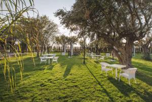 a group of tables and chairs under a tree at FT Lotus Thermal Hotel&SPA Trademark Collection by Wyndham in Menemen