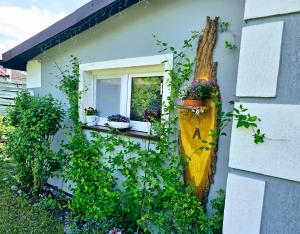 ein Gebäude mit einem Fenster mit Pflanzen darauf in der Unterkunft Jasień 77 A in Czarna Dąbrówka