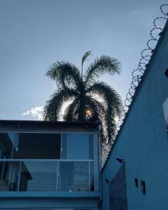 a palm tree in front of a building with a window at Pousada Sol & Mar in Ubatuba