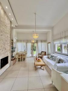 TV a/nebo společenská místnost v ubytování Olive Dream Thassos Luxury Villas