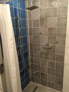 a bathroom with a shower with blue tile at Charmantes Haus direkt am Oder-Nationalpark in Lunow