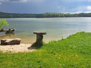 a bench sitting on the shore of a lake at Siedlisko nad Jeziorem-Mazury in Mrągowo