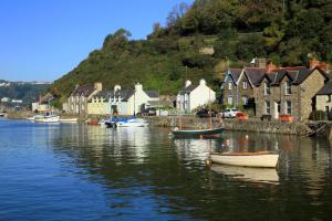 a group of boats in a body of water with houses at Llainfawr Cottage Apartment Fishguard in Letterston