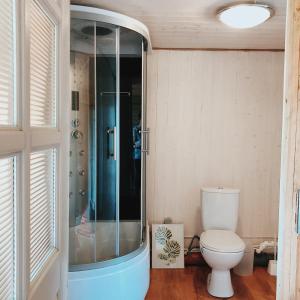 a bathroom with a shower and a toilet at Kihnu home - Sepa talu in Rootsiküla