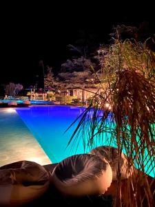 basen w nocy z dwoma krzesłami obok niego w obiekcie La Siègià Resort spa w mieście Massa Marittima