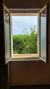 a window with a view of a green bush at Il Mirto E La Rosa in Arenella