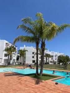 ムルシアにあるLovely penthouse apartmentのヤシの木