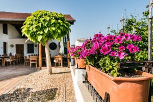 Vonkajšia záhrada v ubytovaní Resort Kovács