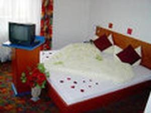 a bedroom with a bed and a tv on a table at Apartment Bayrischer Wald am Golfclub im Feriendorf Glasgarten in Rötz