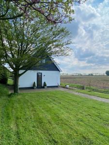 a white barn with a tree in a field at Guesthouse The White House - gehele huisje in Klaaswaal
