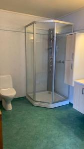 bagno con doccia e servizi igienici. di Panorama appartement a Volda