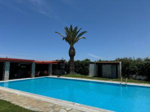 a swimming pool with a palm tree next to a house at Zac & Georgio Studios in Amoudara Herakliou