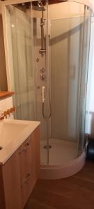 een douche met een glazen deur in de badkamer bij Maison de montagne 2 à 8 couchages proche Barcelonette in Condamine-Châtelard