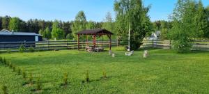 a gazebo in the middle of a field at Kempings Roja in Roja