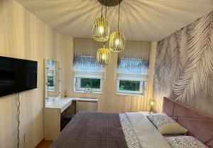 a bedroom with a bed and a television and windows at Violet deluxe in Niš