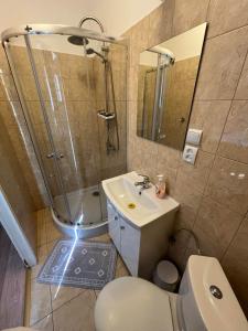 a bathroom with a sink and a shower and a toilet at Dom Gościnny BIEGUN in Jedlina-Zdrój