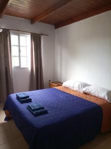 a bedroom with a bed with blue sheets and a window at Aero in El Palomar