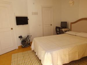 sypialnia z łóżkiem i telewizorem na ścianie w obiekcie Estepona - Playa - 1 dormitorio con terraza solárium Mi17 w mieście Estepona