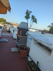 Balkon lub taras w obiekcie Estepona - Playa - 1 dormitorio con terraza solárium Mi17