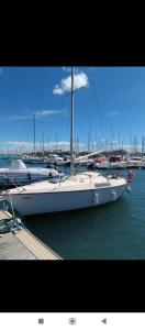 a white sailboat docked at a dock in the water at Bateau port Cap d'Agde in Cap d'Agde