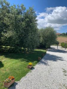 einen Garten mit zwei Topfpflanzen auf dem Gras in der Unterkunft Agriturismo cerquatonda B&B in Montalto delle Marche