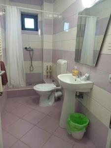 een badkamer met een wastafel, een toilet en een douche bij Pensiunea Apartamente 9 Sofia & David in Baile Felix