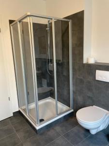 uma cabina de duche na casa de banho com WC em Wunderschöne Unterkunft in Leipzig em Taucha