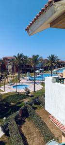 a view of a swimming pool with palm trees at Chalets in Porto Matrouh Families Only in Marsa Matruh