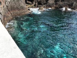 Příroda nedaleko apartmánu + 14 fotografií