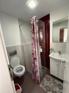 Vonios kambarys apgyvendinimo įstaigoje Zeleni Dvor