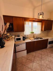 Kuchyň nebo kuchyňský kout v ubytování Villa Domenico