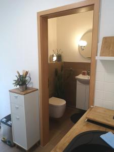 y baño con aseo, lavabo y espejo. en Gemütliche Ferienwohnung en Torgau