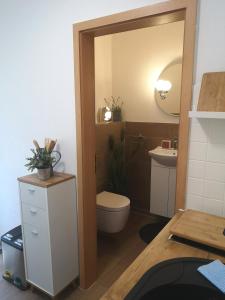 a bathroom with a toilet and a sink and a mirror at Gemütliche Ferienwohnung in Torgau