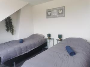 twee bedden naast elkaar in een kamer bij Penthouse centrum Krabbendijke in Krabbendijke +42 foto's