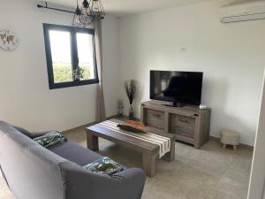 een woonkamer met een bank en een tv bij Brindingaccia in Propriano