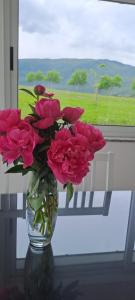 a vase filled with pink flowers on a window sill at Vikendica Bruše in Jaklići