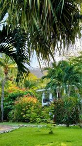 una casa en un jardín con palmeras y flores en Hotel Villa Del Sol en Coco
