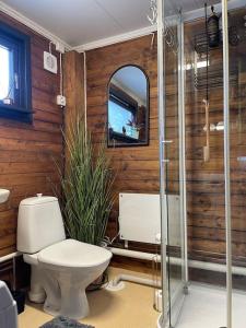 a bathroom with a toilet and a tv on the wall at Koselig gårdshus in To