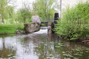 einen kleinen Fluss mit Wasserfall in einem Park in der Unterkunft Moulin de Petoulle in Charenton sur Cher