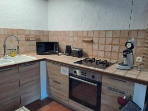 a kitchen with a counter with a stove and a sink at La Chaumière de Chabine in Oizon