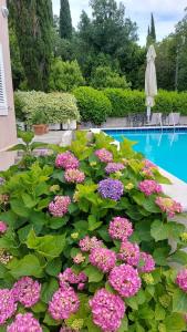 a bunch of pink flowers next to a swimming pool at Apartments Vila Harmonia in Čilipi
