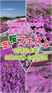 大仙市Hotel DOLPHIA-Adult Only的相册照片
