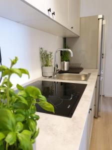 a kitchen with a sink and some plants at Pokoje u Mareczka in Gdynia