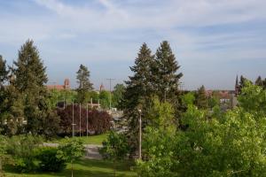 a park with trees and buildings in the background at UNIQUE Apartment with parking in Toruń
