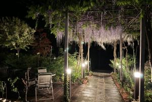 einen Garten mit Glyzinien, die nachts von einer Pergola hängen in der Unterkunft Pension Lanpou in Fujikawaguchiko