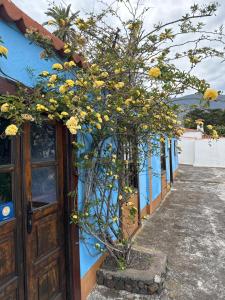 Zdjęcie z galerii obiektu Casa Asuncion w mieście Breña Alta