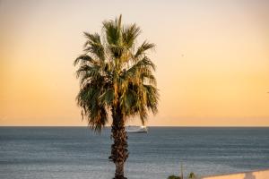 a palm tree on the beach with a cruise ship at Soho Boutique Las Vegas in Málaga